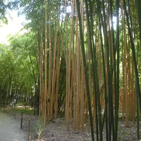 La Treille 別荘 Thoiras