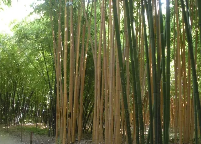 La Treille Casa de Férias Thoiras